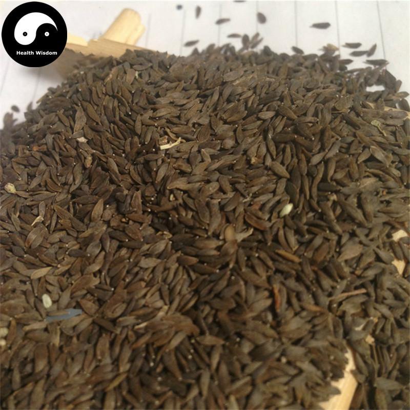 Wo Ju Zi 萵苣子, Hei Wo Ju Zi, Seed of garden lettuce, Sheng Cai Zi-Health Wisdom™