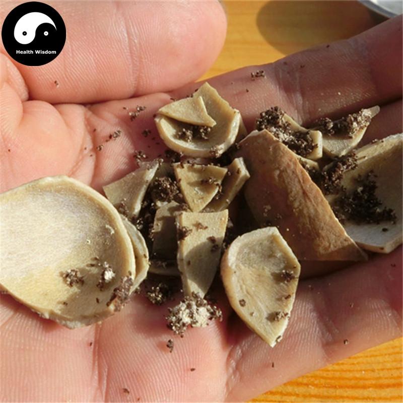 Wu Bei Zi 五倍子, Galla Chinensis, Chinese Sumac, Nutgalls-Health Wisdom™