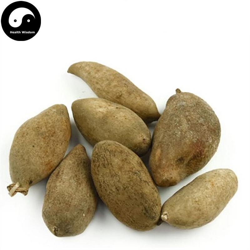 Wu Bei Zi 五倍子, Galla Chinensis, Chinese Sumac, Nutgalls-Health Wisdom™