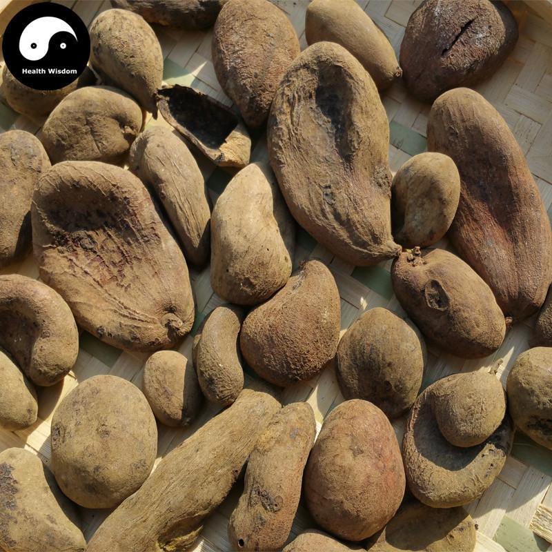 Wu Bei Zi 五倍子, Galla Chinensis, Chinese Sumac, Nutgalls-Health Wisdom™