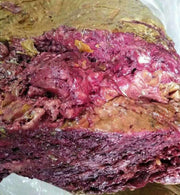 Wu Cai A Wei Root 五彩阿魏根, Devil's Herb For Fishing, Chinese Xingjiang Asafoetida, Ferulae-Health Wisdom™