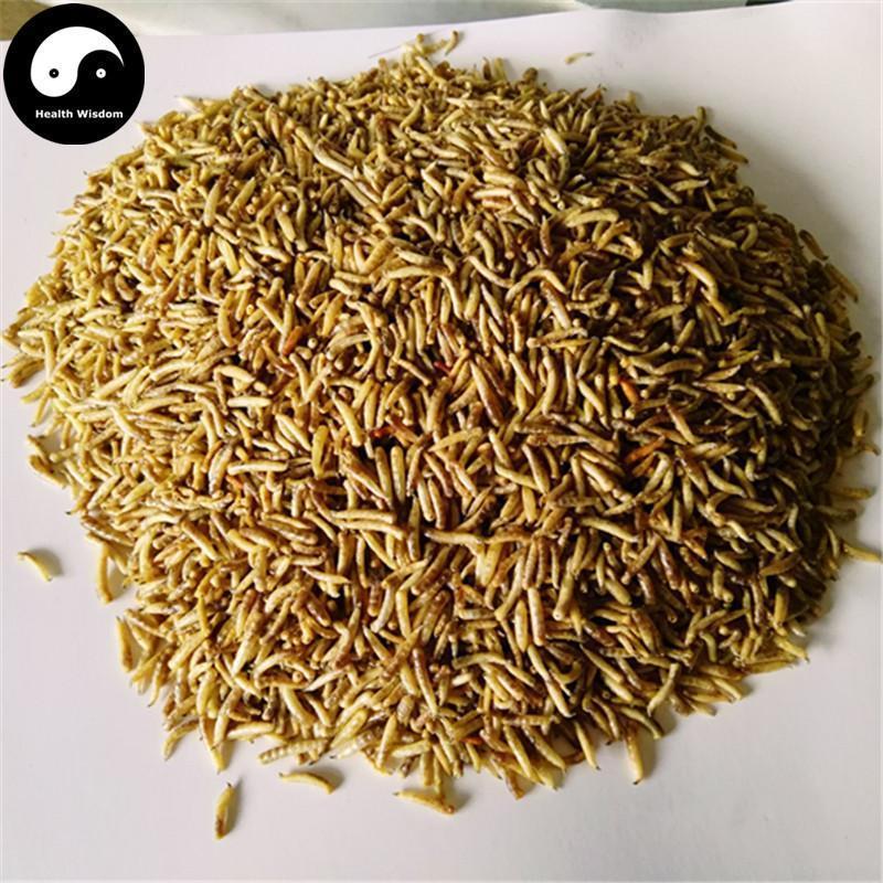 Wu Gu Chong 五谷虫, Chrysomyia Megacephala (Fabricius), worm of all sorts grains-Health Wisdom™