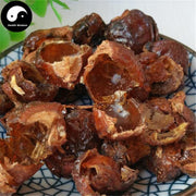 Wu Huan Zi 無患子, Chinese Soapberry Fruit, Fructus Sapindi Mukorossi, Sapindus-Health Wisdom™