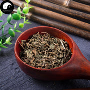 Wu Lian Mei 乌蔹莓, Japanese Cayratia Herb, Cayratia Japonica, Mu Zhu Teng-Health Wisdom™