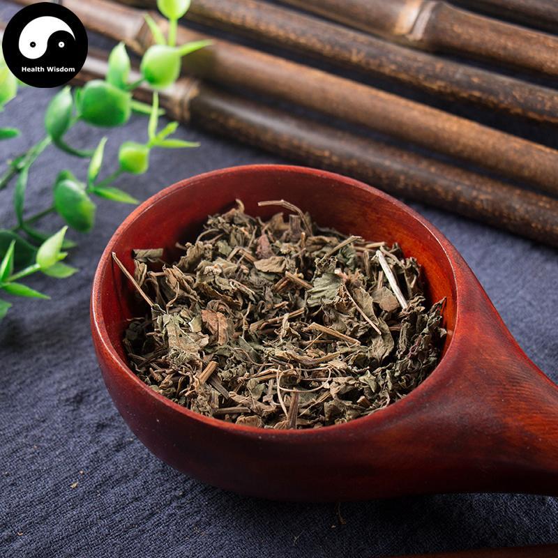 Wu Lian Mei 乌蔹莓, Japanese Cayratia Herb, Cayratia Japonica, Mu Zhu Teng-Health Wisdom™