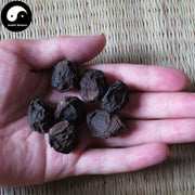 Wu Mei 烏梅, Fructus Mume, Dark Plum Fruit, Suan Mei-Health Wisdom™