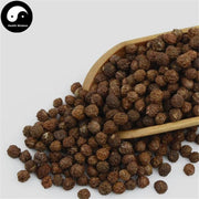 Wu Tong Zi 梧桐子, Phoenix Tree Seed, Semen Firmianae-Health Wisdom™
