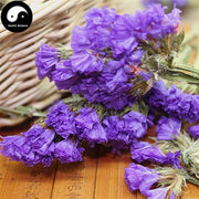 Wu Wang Wo 勿忘我, Myosotis Sylvatica Flower, Flos Latouchea Fokiensis-Health Wisdom™