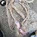 Wu Xiang Xue Teng 五香血藤, Schisandra Rubriflora, Zi Jin Teng, Wu Wei Zi Teng-Health Wisdom™