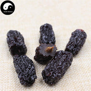 Wu Zao 乌枣, Hei Zao, Fructus Jujubae, Chinese Black Date-Health Wisdom™