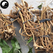 Wu Zhi Mao Tao Gen 五指毛桃根, Radix Fici Simplicissimae, Ficus Simplicissima Root, Niu Nai Gen-Health Wisdom™