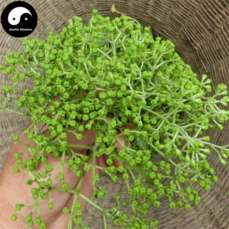 Wu Zhu Yu 吳茱萸, Fructus Evodiae, Wu Yu 吳萸-Health Wisdom™