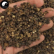 Wu Zhu Yu 吳茱萸, Fructus Evodiae, Wu Yu 吳萸-Health Wisdom™