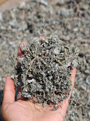 Xi Huang Cao Cha 溪黄草茶, Guangxi Isodon lophanthoides Tea, Yin Teng Cha Vine Tea For Health Care-Health Wisdom™