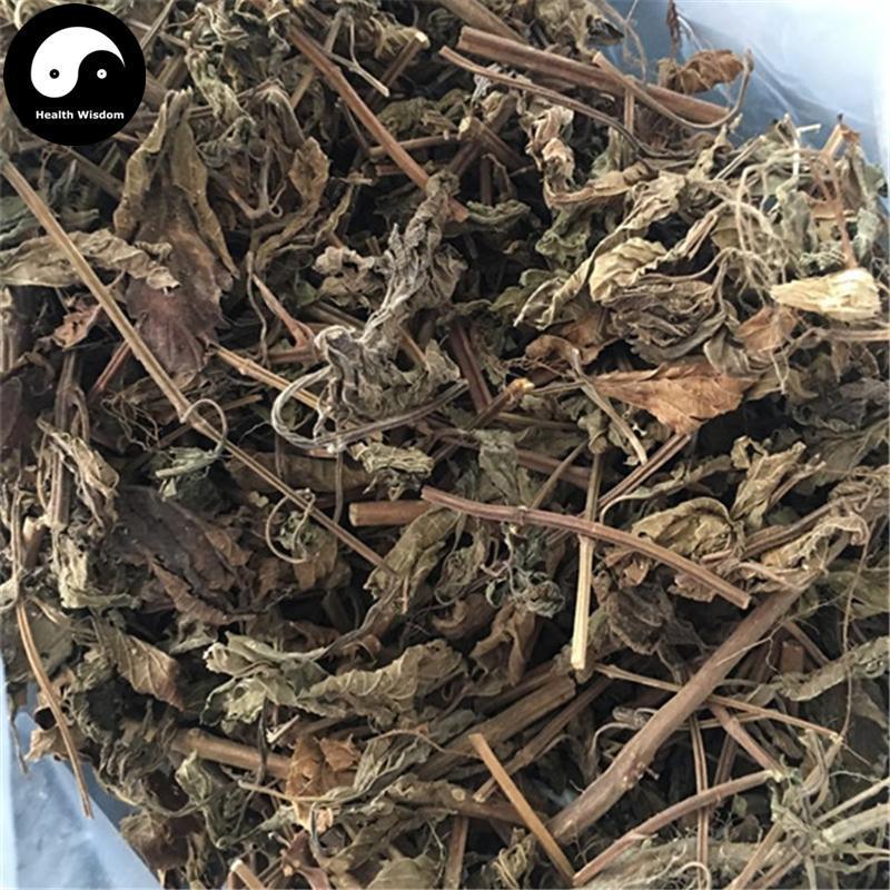 Xi Huang Cao 溪黄草, Herba Rabdosia Serra-Health Wisdom™
