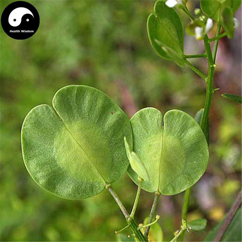 Xi Mi Zi 菥冥子, Herba Thlaspis, Boor's Mustard Herb-Health Wisdom™