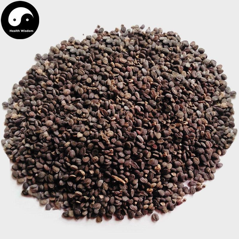 Xi Mi Zi 菥冥子, Herba Thlaspis, Boor's Mustard Herb-Health Wisdom™