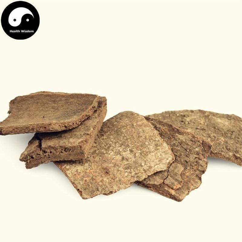 Xi Shu Pi 喜树皮, Cortex Camptotheca Acuminate, Camptotheca Acuminate Bark-Health Wisdom™