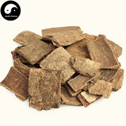 Xi Shu Pi 喜树皮, Cortex Camptotheca Acuminate, Camptotheca Acuminate Bark-Health Wisdom™