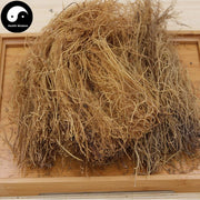Xi Xin 細辛, Herba Asari Root, Radix Asarum Sieboldii-Health Wisdom™