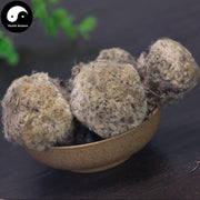 Xi Zang Xue Lian Hua 西藏雪蓮花, Herba Saussureae Involucratae, Snow Lotus Herb-Health Wisdom™