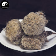 Xi Zang Xue Lian Hua 西藏雪蓮花, Herba Saussureae Involucratae, Snow Lotus Herb-Health Wisdom™