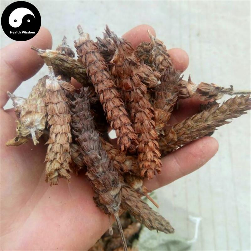 Xia Ku Cao Qiu 夏枯草球, Spica Prunellae, Common Selfheal Fruit-Spike, Common selfheal spike-Health Wisdom™