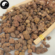 Xia Tian Wu 夏天無, Rhizoma Corydalis Decumbentis, Decumbent Corydalis Tuber-Health Wisdom™