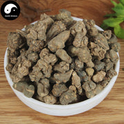 Xia Tian Wu 夏天無, Rhizoma Corydalis Decumbentis, Decumbent Corydalis Tuber-Health Wisdom™