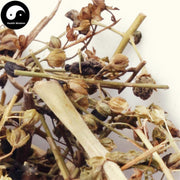 Xian Tao Cao 仙桃草, Purslane Speedwell Herb, Herba Veronicae Peregrinae-Health Wisdom™