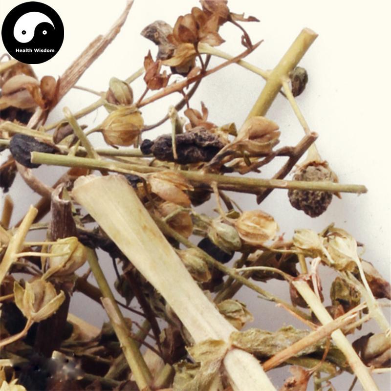 Xian Tao Cao 仙桃草, Purslane Speedwell Herb, Herba Veronicae Peregrinae-Health Wisdom™