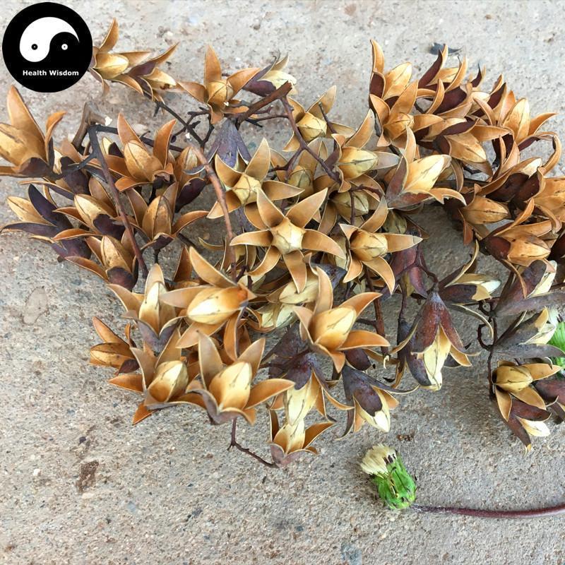 Xiang Chun Zi 香椿子, Fruit of Chinese Toona, Fructus Toonae Sinensis-Health Wisdom™