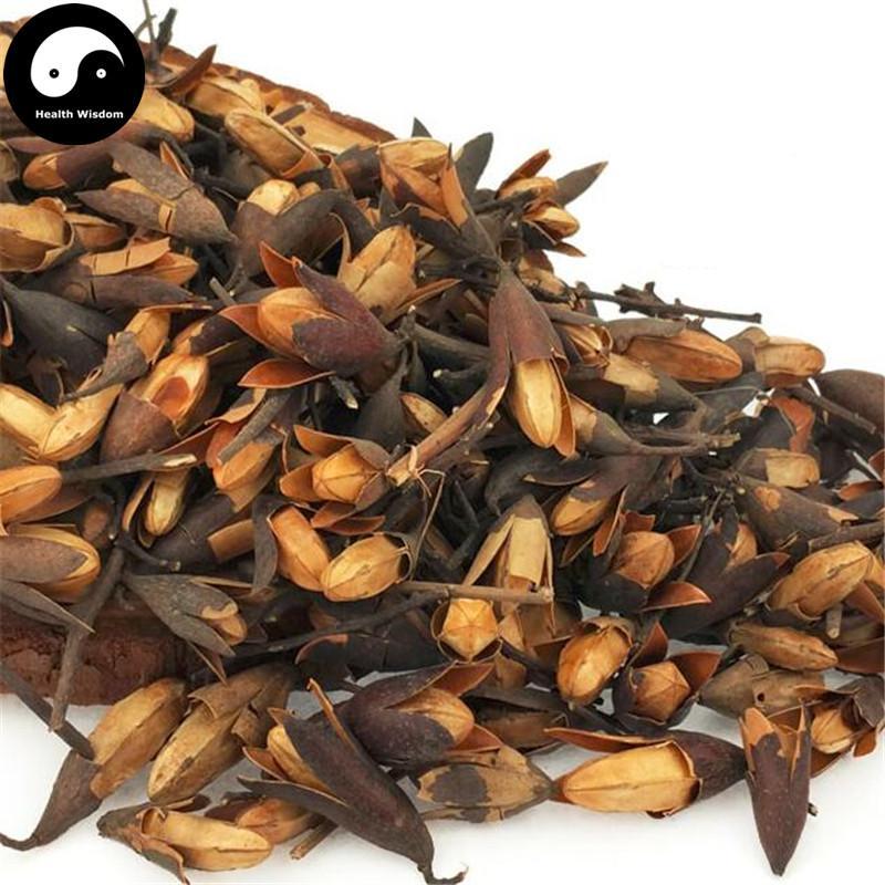 Xiang Chun Zi 香椿子, Fruit of Chinese Toona, Fructus Toonae Sinensis-Health Wisdom™