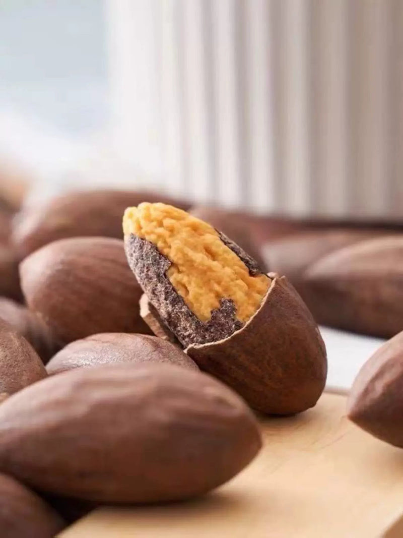 Xiang Fei Zi Ren 香榧子仁, Semen Torreyae Nut, Grand Torreya Seed Without Shell-Health Wisdom™