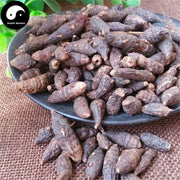 Xiang Fu Ge 香附个, Rhizoma Cyperi, Nutgrass Galingale Rhizome-Health Wisdom™