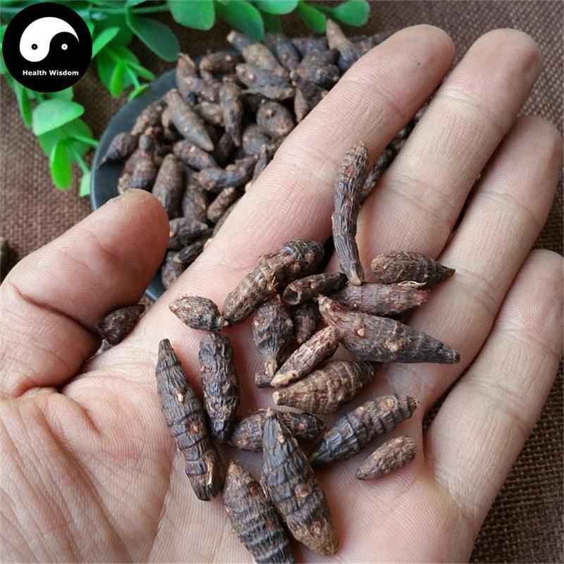 Xiang Fu Ge 香附个, Rhizoma Cyperi, Nutgrass Galingale Rhizome-Health Wisdom™