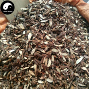 Xiang Fu Pian 香附片, Rhizoma Cyperi, Nutgrass Galingale Rhizome-Health Wisdom™