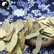 Xiang Gui Ye 香桂叶, Bay Leaf, Laurel Leaf, Folium Laurus Nobilis, Yue Gui Ye-Health Wisdom™