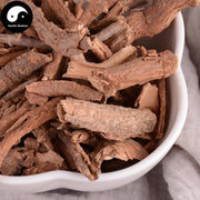 Xiang Jia Pi 香加皮, Cortex Periplocae, Chinese Silkvine Root Bark, Bei Wu Jia Pi-Health Wisdom™
