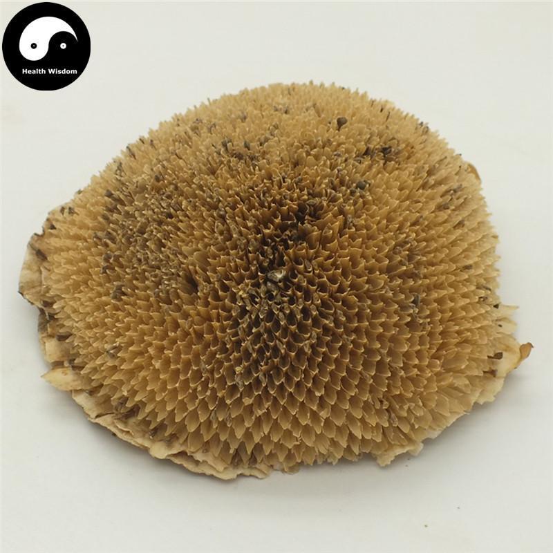 Xiang Ri Kui Hua Pan 向日葵花盤, Clinanthium Helianthi, Sunflower Receptacle-Health Wisdom™