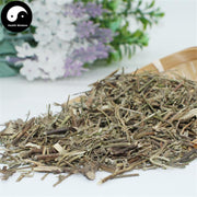 Xiang Ru 香薷, Herba Moslae, Herba Elsholtziae, Chinese Mosla Herb, Haichow Elsholtzia Herb-Health Wisdom™