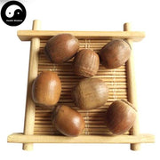 Xiang Shi 橡實, Sawtooth oak fruit, Fructus Querci Acutissimae-Health Wisdom™