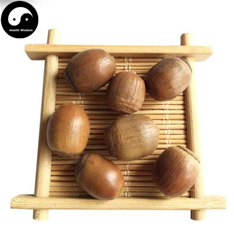 Xiang Shi 橡實, Sawtooth oak fruit, Fructus Querci Acutissimae-Health Wisdom™