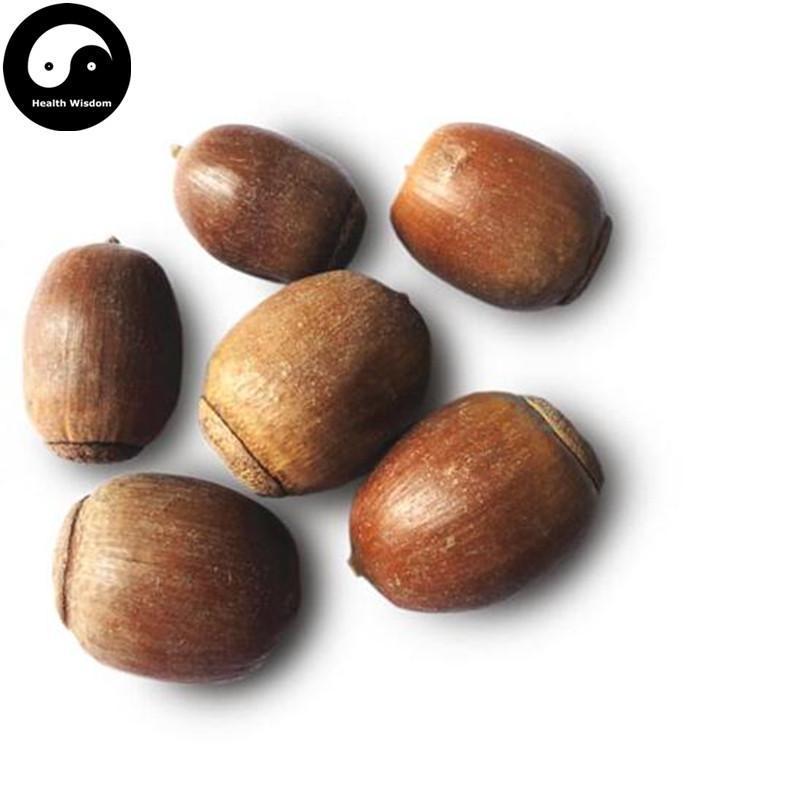 Xiang Shi 橡實, Sawtooth oak fruit, Fructus Querci Acutissimae-Health Wisdom™