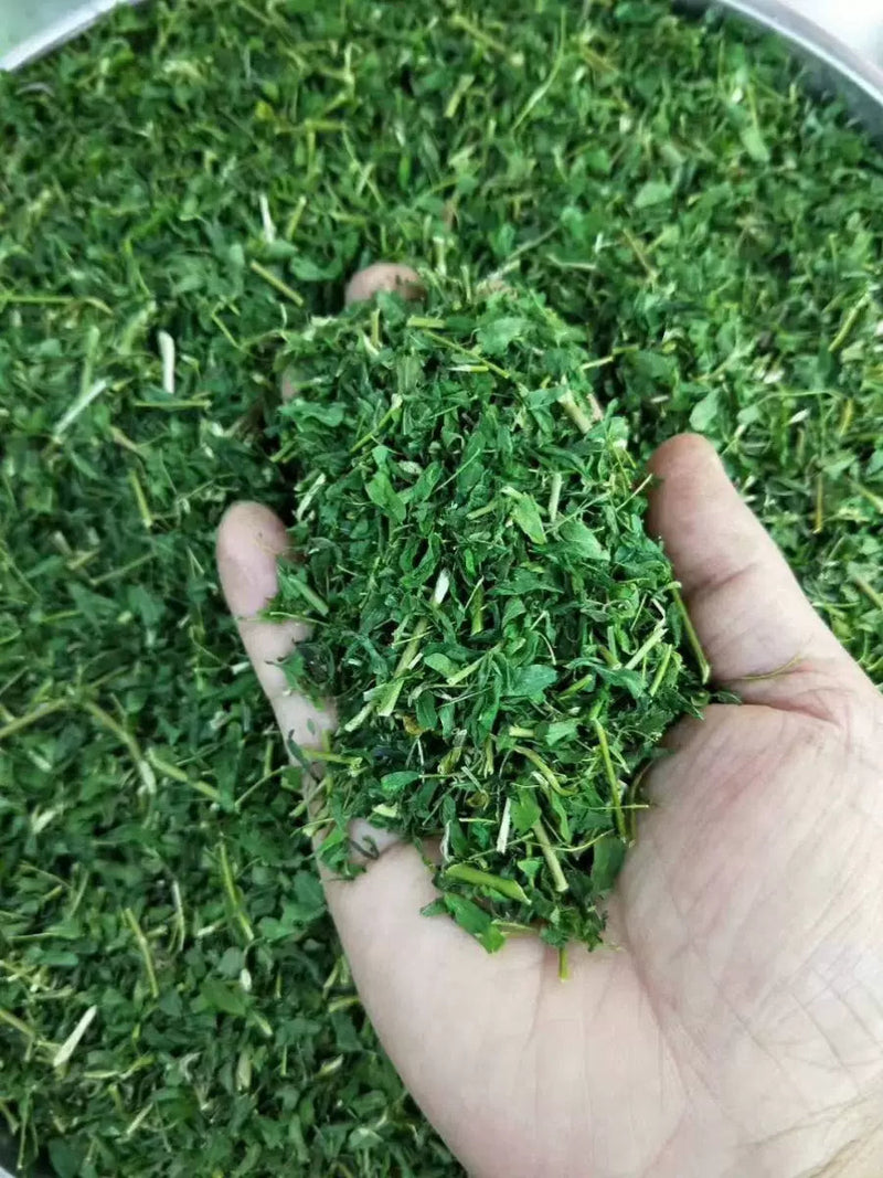Xiang Si Teng Cha 相思藤茶, Guangxi Yine Abrus Tea, Wild Vine Tea Abrus Precatorius-Health Wisdom™