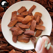 Xiang Tian Guo 向天果, Fructus Swietenia Macrophylla-Health Wisdom™