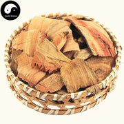 Xiang Zhang Gen 香樟根, Comphortree Root, Radix Cinnamomi Camphorae, Xiang Tong-Health Wisdom™