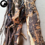 Xiang Zhang Gen 香樟根, Comphortree Root, Radix Cinnamomi Camphorae, Xiang Tong-Health Wisdom™
