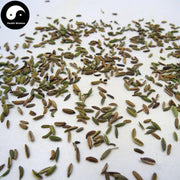 Xiao Hui Xiang 小茴香, Fructus Foeniculi, Hui Xiang, Fennel Fruit-Health Wisdom™