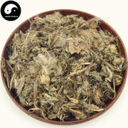 Xiao Ji 小薊, Herba Cirsii, Herba Cephalanoploris, Common Cephalanoplos Herb-Health Wisdom™